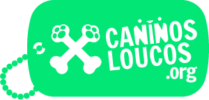 Caninos Loucos